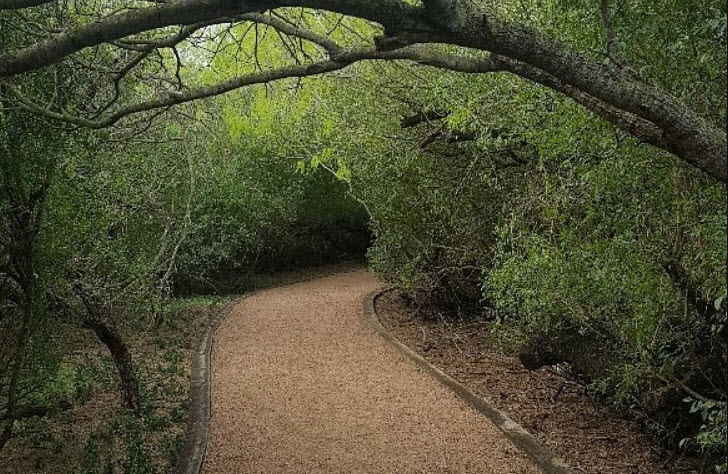 McAllen Nature Center, United States